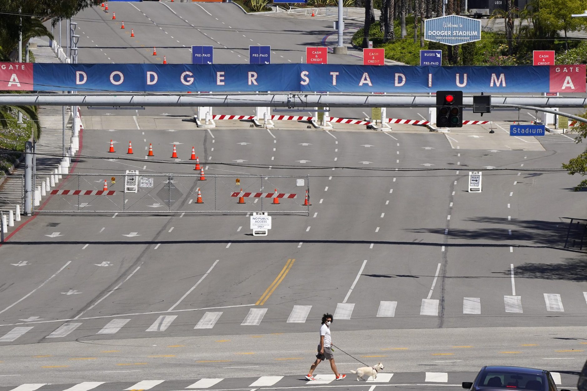 Dodger Stadium Postcard