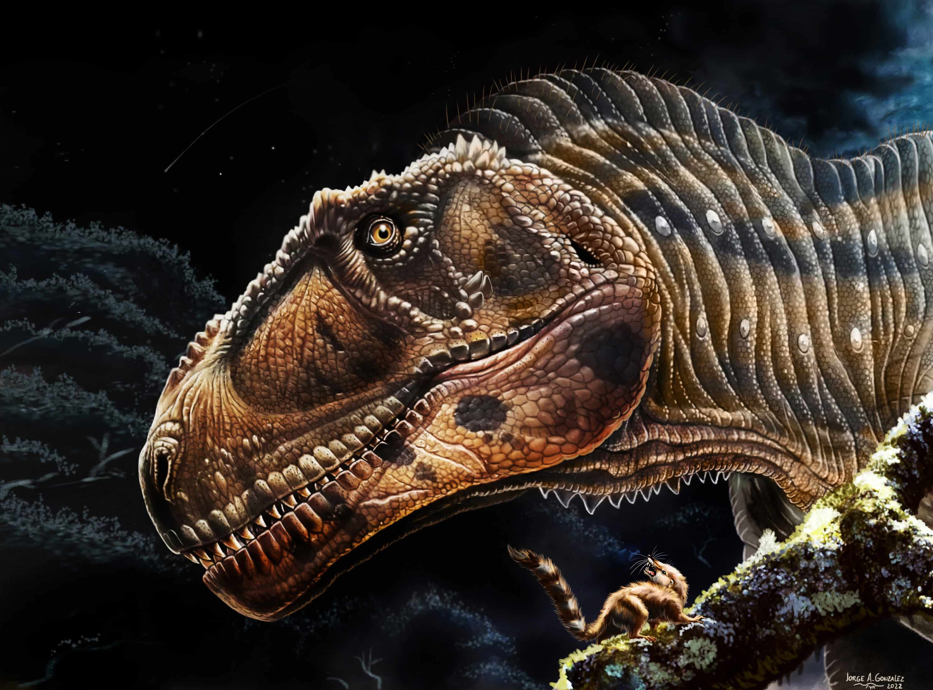 Investigadores descubren una nueva especie de dinosaurio en Argentina