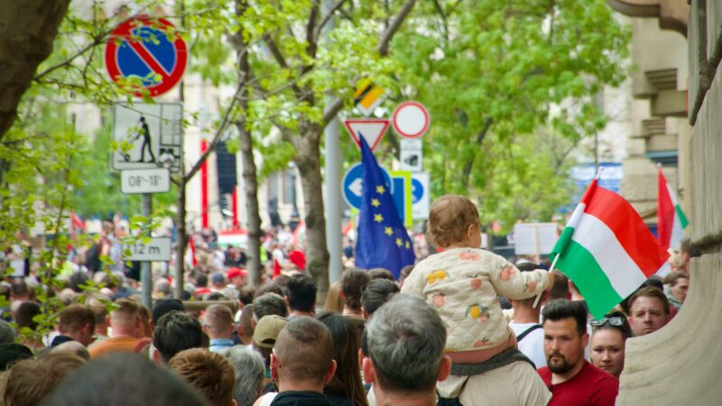 Hungarian and European Union flags are held during a street demonstration in Budapest, Hungary.