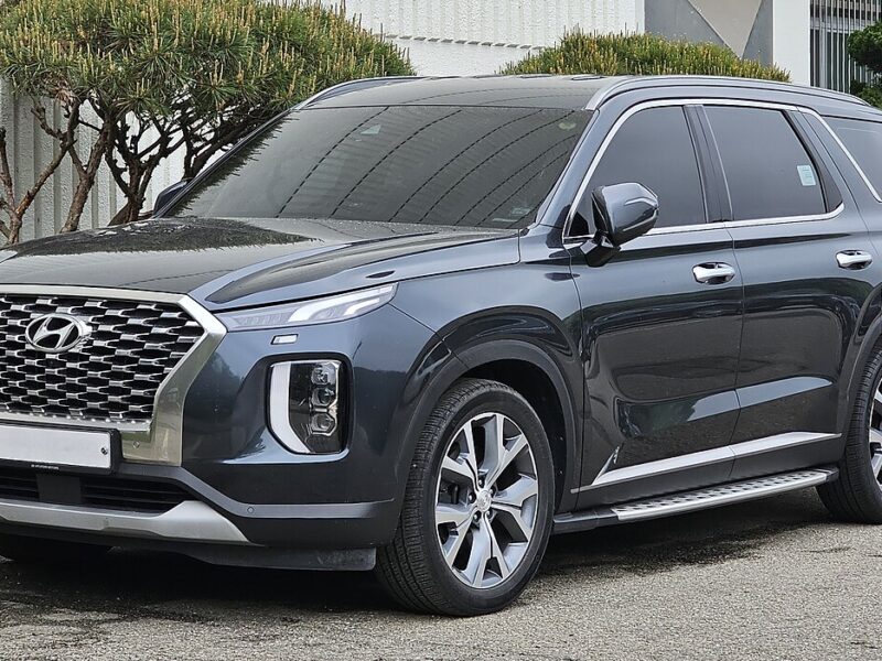 Software agreement doesn’t bar claims against Hyundai