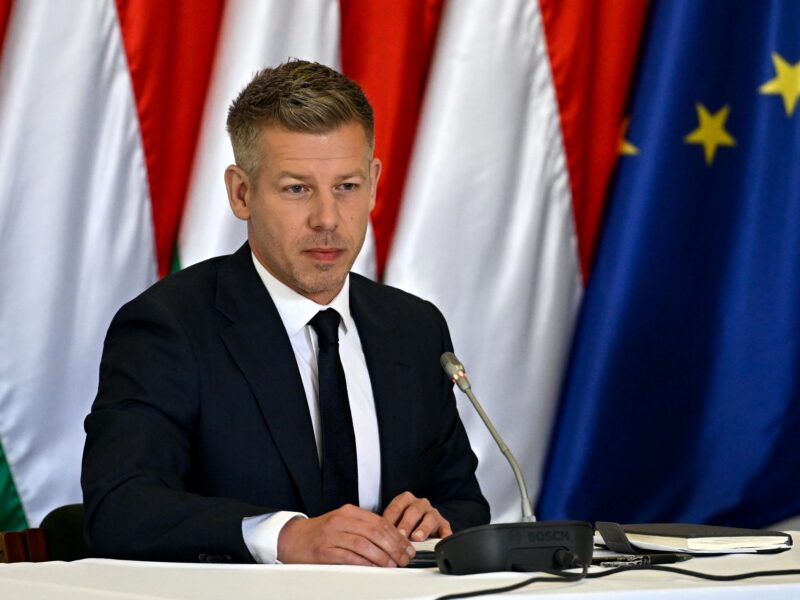 5 days in: EU flag flies again, oligarchs quake as Hungary's Magyar dismantles Orbán machine