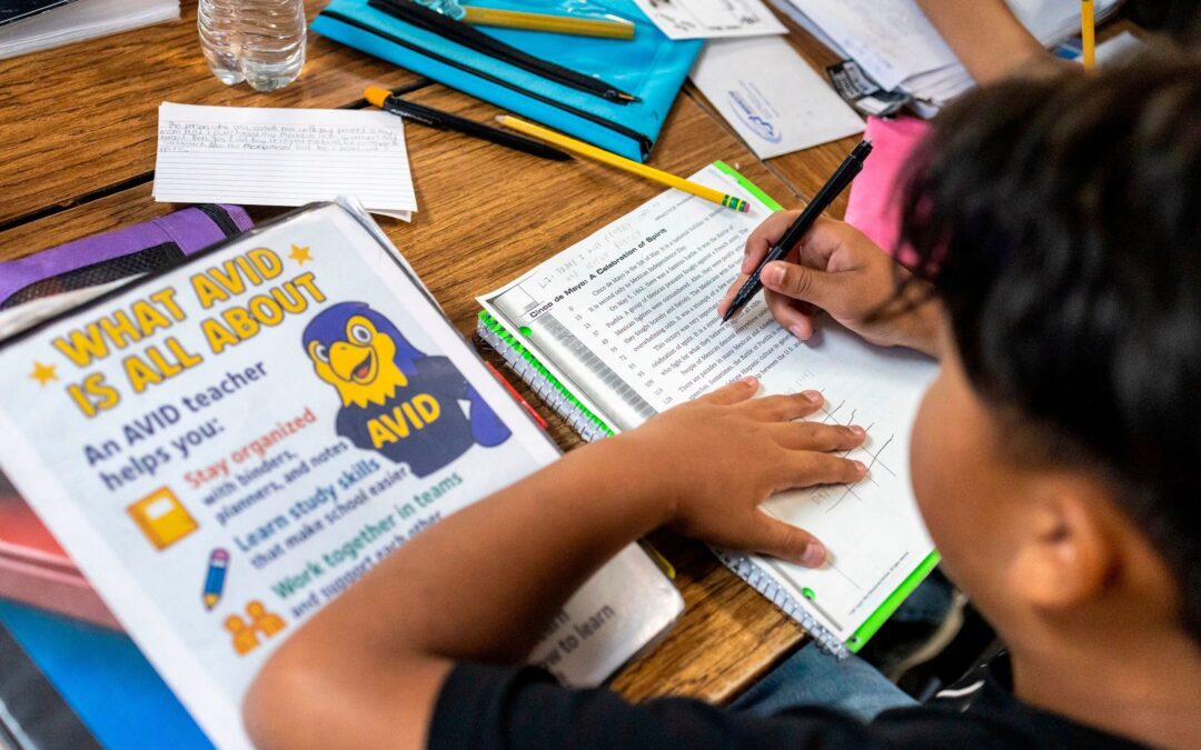 Teens’ reading and math scores have stagnated, US test results show