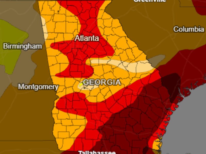 Extreme, unseen drought threatens Georgia's wildlife