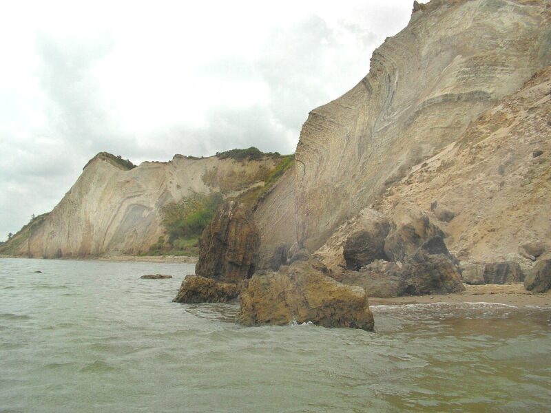 Danish fish fossil cliffs set to gain UNESCO status